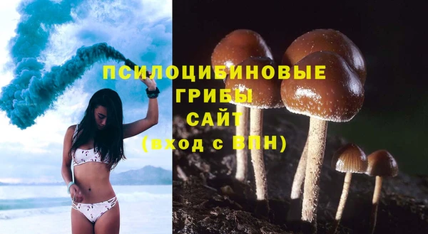 герыч Вяземский