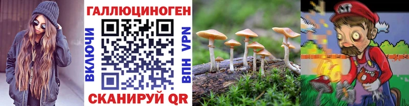 KRAKEN рабочий сайт  Калининград  Галлюциногенные грибы MAGIC MUSHROOMS  сколько стоит 